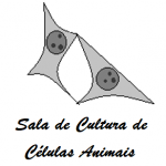 Menu de Navegação